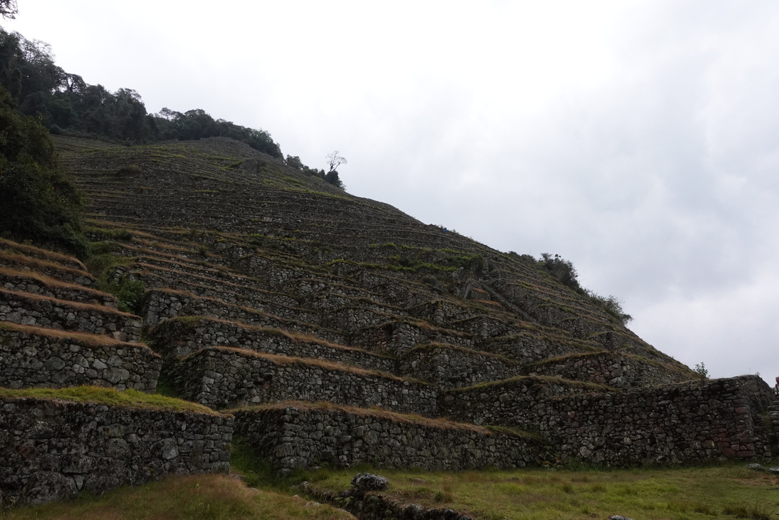 An image of an Incan terrace farm taken on the Inca trail.